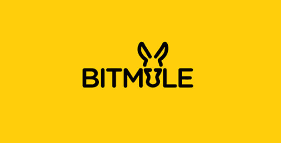 Bitmule Logo- Inspirational Flat Logo Designs