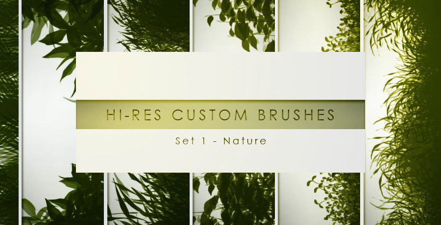 Paid Photoshop Brushes - 30 Hi Res Custom Brushes