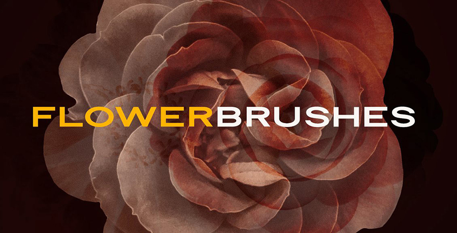 Free Photoshop Brushes - Elegant Flower